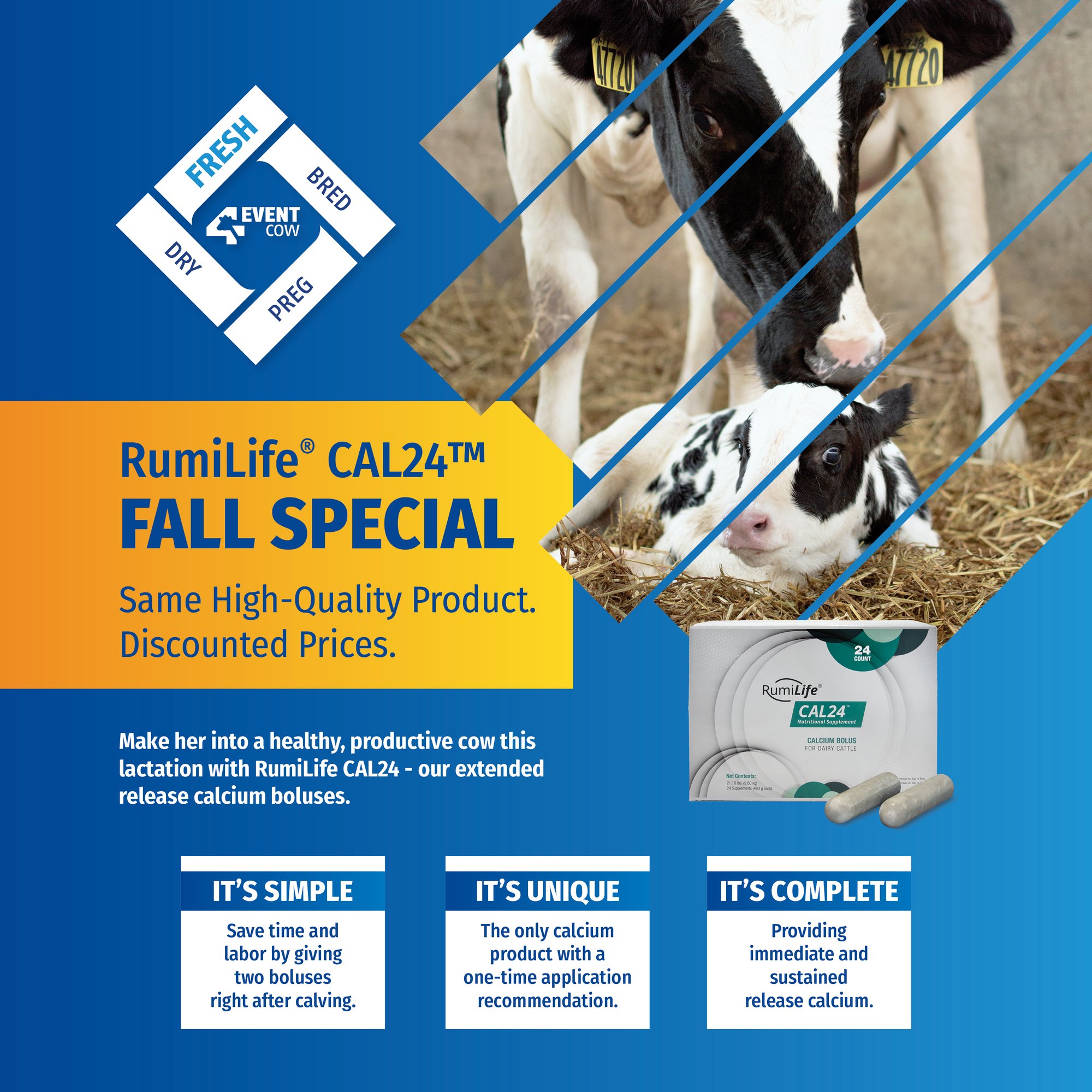 2024-09 CAL24 Fall Special 5x5_Color-1