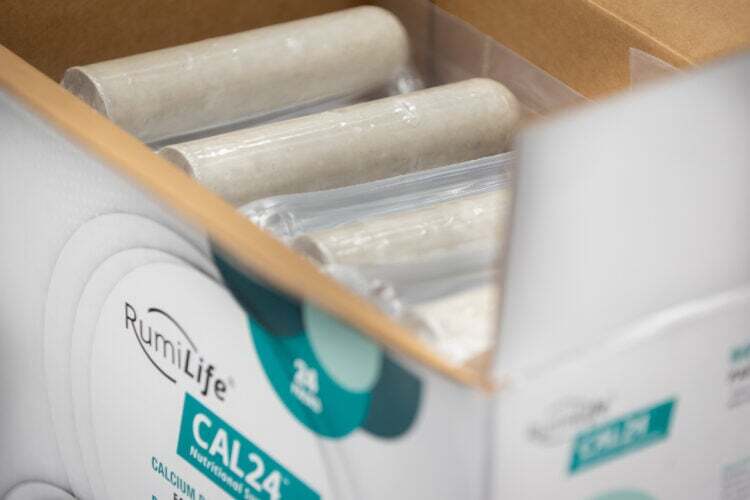 Truths and Myths About RumiLife CAL24 Calcium Boluses for Your Fresh Cows