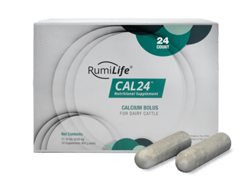 The Two-Fold Calcium Approach of RumiLife® CAL24™