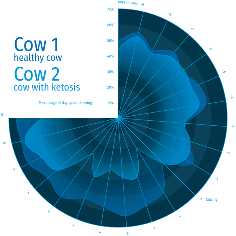 Chart showing eating time of two cows