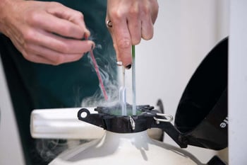 Improving Reproductive Efficiency