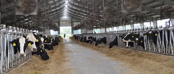 Inbreeding: manage it to maximize profit