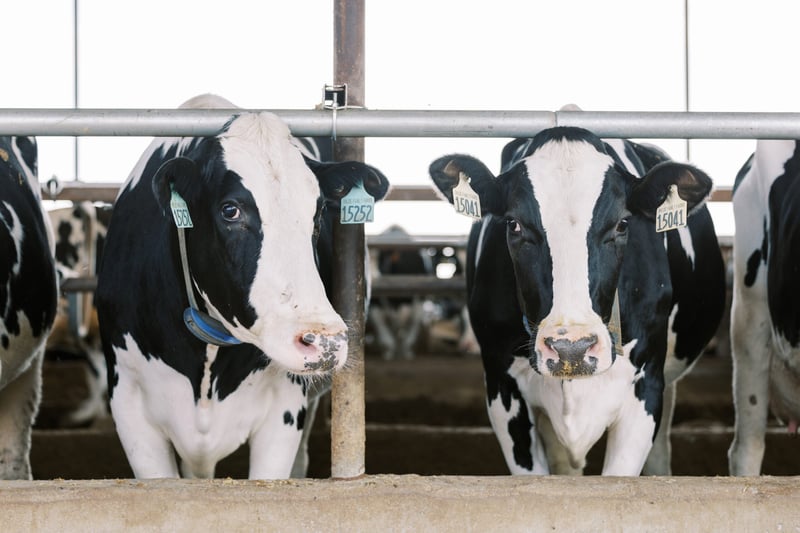 The New 2025 NM$ Index