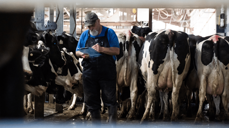 How to make your next preg check your best one yet