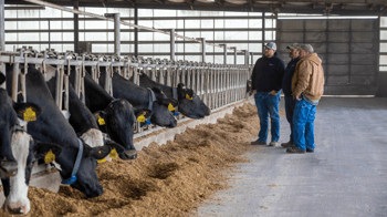 TAKE OWNERSHIP OF YOUR GENETIC DECISIONS